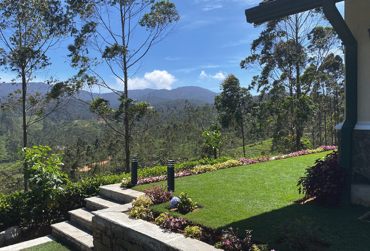 Hill Haven - Exterior 4